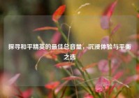 探寻和平精英的最佳总音量，沉浸体验与平衡之选