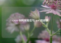CSGO 中呵呵背后与 AUG 的故事