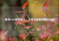 探寻CSGO竞技魅力，入耳式耳麦的独特优势