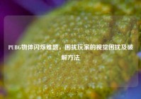PUBG物体闪烁难题，困扰玩家的视觉困扰及破解方法