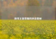 探寻王者荣耀的拼音奥秘