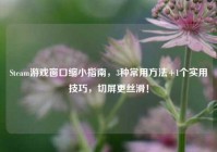 Steam游戏窗口缩小指南，3种常用方法+1个实用技巧，切屏更丝滑！