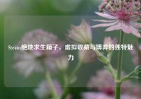 Steam绝地求生箱子，虚拟收藏与博弈的独特魅力