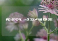 掌控视野密码，LOL眼位艺术与标记快捷键