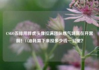 CSGO五排用胖虎头像拉满团队感气场赢在开黑前！14油耗算下来投多少钱一公里？