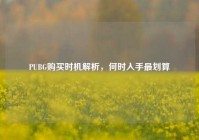 PUBG购买时机解析，何时入手最划算