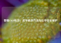 警惕CSGO私改，名字修改方法与公平安全维护