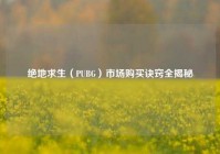 绝地求生（PUBG）市场购买诀窍全揭秘