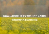 告别PUBG黑白雾！亮度太低怎么办？从创建到精准调参的亮度房终极攻略