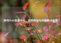 探寻PUBG客服中心，官网网址与问题解决指引