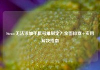 Steam无法添加手机号难绑定？全面排查+实用解决指南
