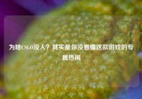 为啥CSGO没人？其实是你没看懂这款游戏的专属热闹