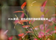 PUBG黑洞，虚拟战场的神秘撤离漩涡