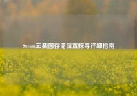 Steam云截图存储位置探寻详细指南