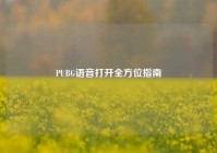 PUBG语音打开全方位指南
