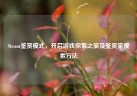 Steam鉴赏模式，开启游戏探索之旅及鉴赏家搜索方法