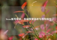 Steam账号申诉，权益恢复诉求与书写指引