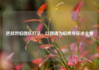 逆战烈焰团队打法，以团魂为焰燃尽征途尘嚣