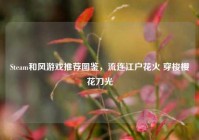 Steam和风游戏推荐图鉴，流连江户花火 穿梭樱花刀光
