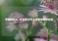 荣耀畅玩20，小身躯迸发王者荣耀游戏能量