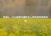电竞IG，PUBG缺席与德杯无shy哥夺冠的别样态势