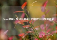 Steam中国，坚守与变革下的游戏平台发展新章