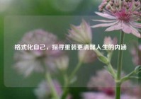 格式化自己，探寻重装更清醒人生的内涵