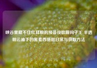 峡谷里藏不住红耳根的预备役软萌钩子王 半透明云袖下的害羞西施甜日常与获取方法