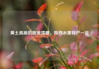 黄土高原的甜美馈赠，陕西水果特产一览