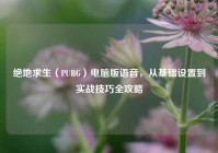 绝地求生（PUBG）电脑版语音，从基础设置到实战技巧全攻略
