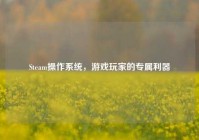 Steam操作系统，游戏玩家的专属利器