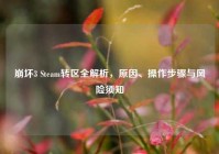 崩坏3 Steam转区全解析，原因、操作步骤与风险须知