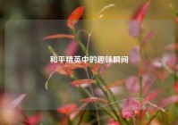 和平精英中的趣味瞬间