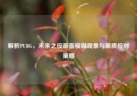 解析PUBG，未来之役画面模糊现象与画质应对策略
