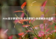 PUBG显示更新失败/无法更新？快速解决全攻略