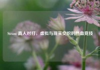 Steam 真人对打，虚拟与现实交织的热血竞技