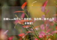 街霸Steam叫什么？找折扣、买合集、新手入门全搞定！