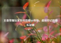王者荣耀玩家如何隐藏QQ等级，虚拟印记的隐私设置