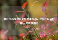 藏在代码缝隙里的慢节奏惊喜，我与CF乌龟打背bug的奇妙邂逅
