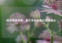 和平精英微博，图片发布指南与互动舞台