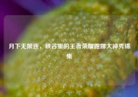 月下无限连，峡谷里的王者荣耀露娜大神秀锦集