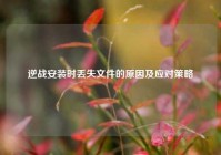 逆战安装时丢失文件的原因及应对策略