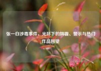 张一白涉毒事件，光环下的阴霾、警示与热门作品回望