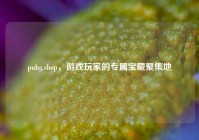 pubg.shop，游戏玩家的专属宝藏聚集地