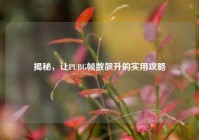 揭秘，让PUBG帧数飙升的实用攻略