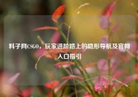 料子网CSGO，玩家进阶路上的隐形导航及官网入口指引