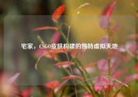 宅家，CSGO皮肤构建的独特虚拟天地