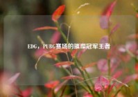 EDG，PUBG赛场的璀璨冠军王者