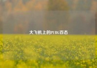 大飞机上的PUBG百态