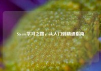 Steam学习之路，从入门到精通指南
